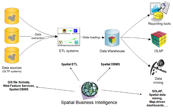 self organization and pattern formation in neuronal systems under conditions of variable gravity life