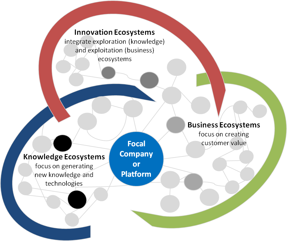 Image result for business networks and ecosystems rethinking the biological metaphor