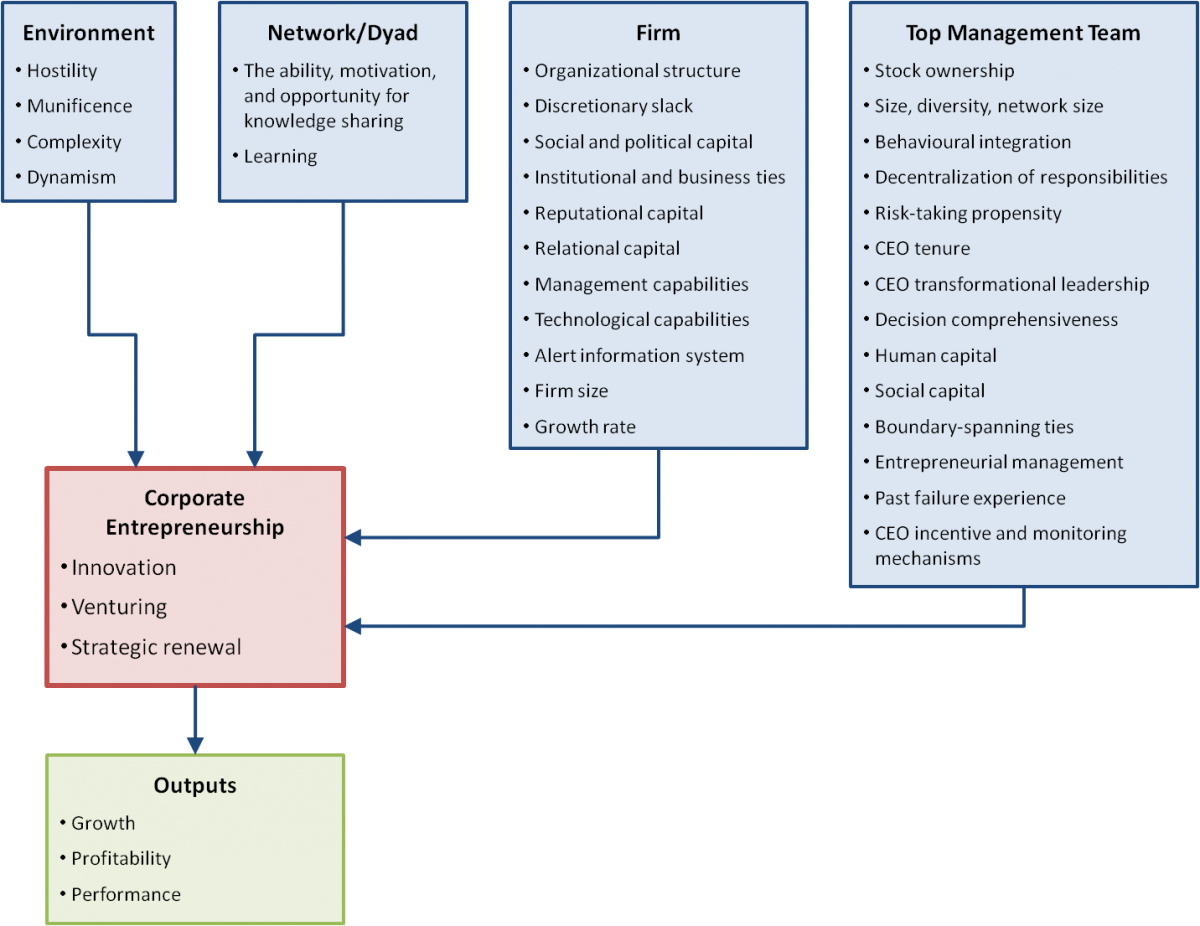 Corporate Entrepreneurship A Review And Future Research - 